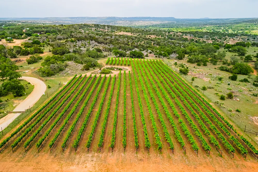 Torr Na Lochs Vineyard Aerial View