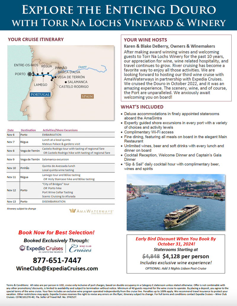 Douro River Cruise Flyer Graphic