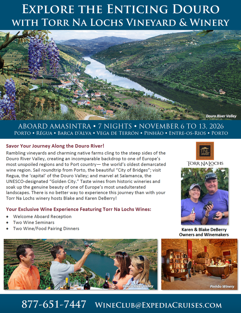 Douro River Cruise Flyer graphic