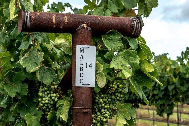 Vineyard Sign
