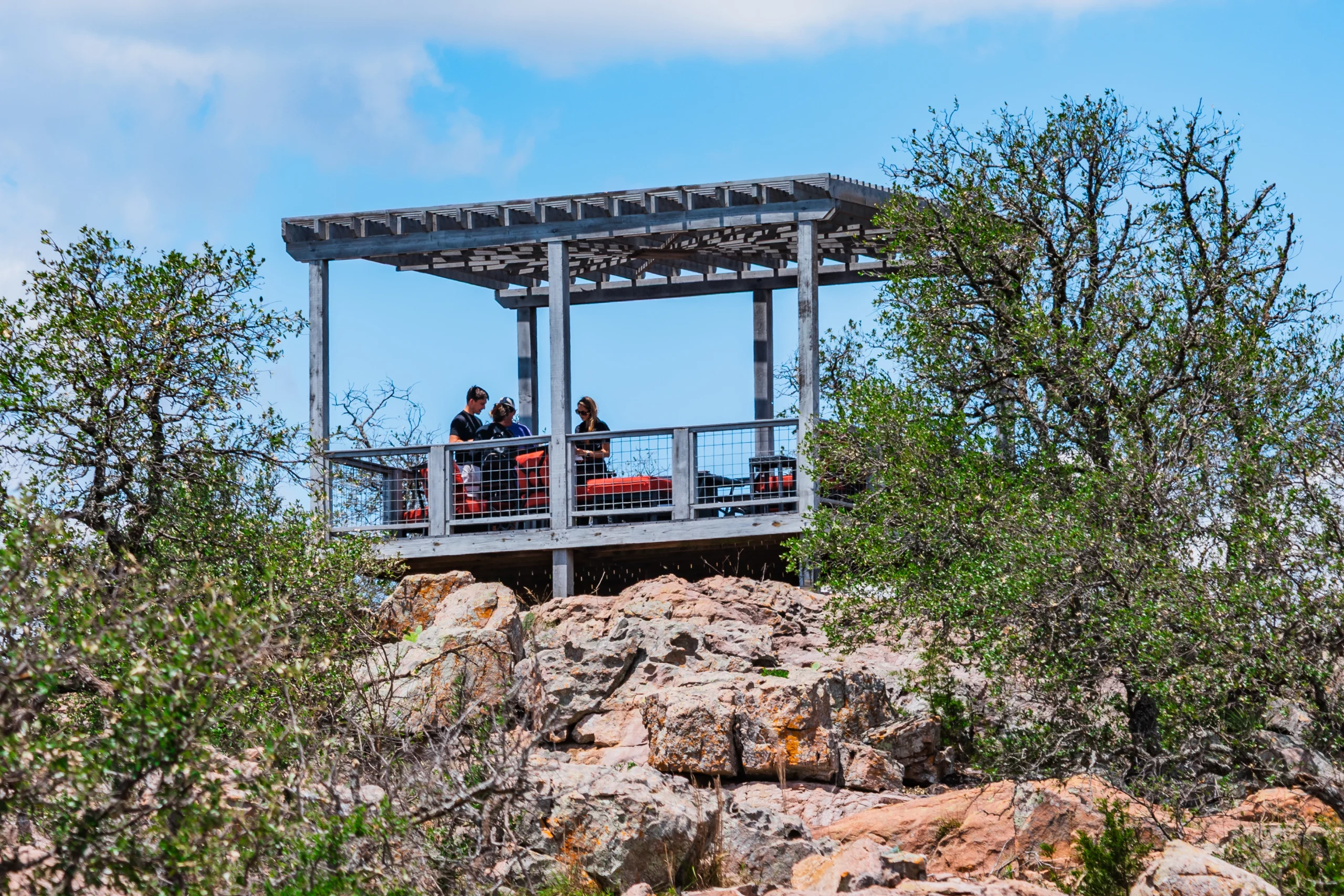 Torr Na Lochs Vineyard pergola